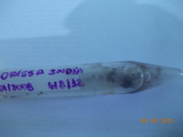 DSCN0491.JPG