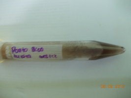 DSCN0494.JPG