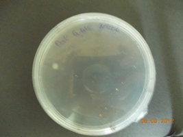 DSCN0496.JPG