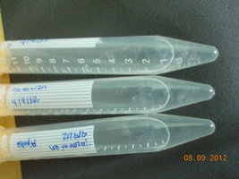 DSCN0498.JPG