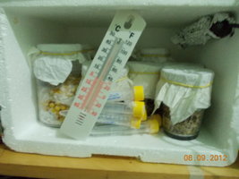 DSCN0500.JPG