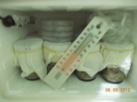 DSCN0501.JPG