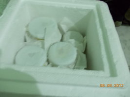 DSCN0502.JPG