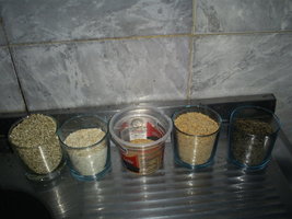 substrato para Orissa India ( arroz integral c casca + niger + aveia + vermiculita) 13-10-06.JPG