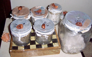 100_1934.jpg