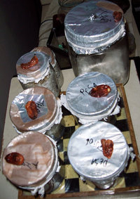 100_1936.jpg