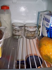 geladeira.jpg