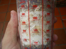 possivel contaminação com pin acima p buff extreme16-10-06.JPG