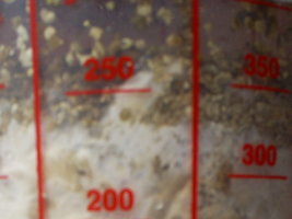 pin extreme p buff 16-10-06.JPG