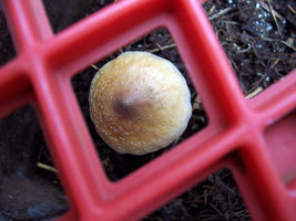 100_2002.jpg