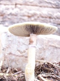 100_2021.jpg