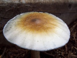 100_2022.jpg