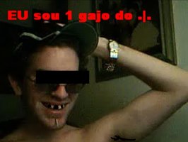 lsd2.JPG