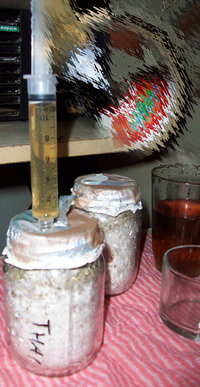 100_2042.jpg