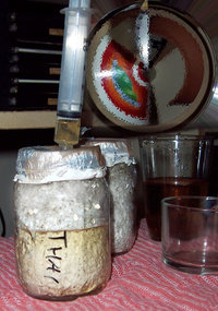 100_2045.jpg