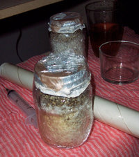 100_2049.jpg