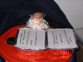casingnovo1.JPG