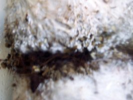 100_2070.jpg