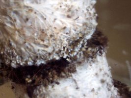 100_2075.jpg