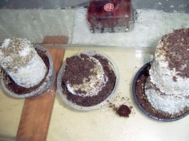 100_2083.jpg