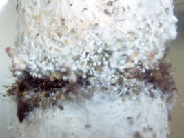 100_2087.jpg