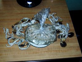 CamboHarvestedDunked.jpg