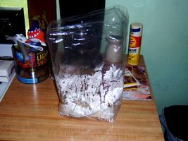 BagUp.jpg