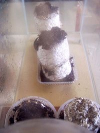 100_2115.jpg