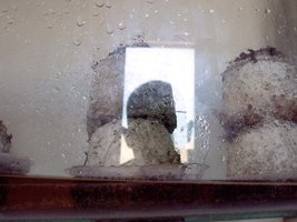 100_2107.jpg