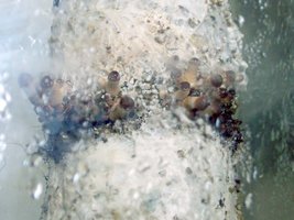 100_2105.jpg