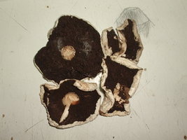 P1010003.JPG