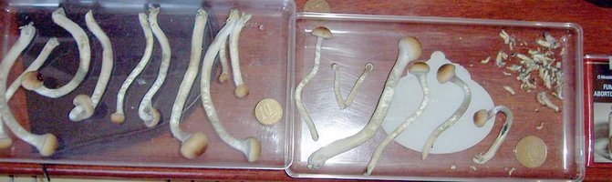 100_2143.jpg
