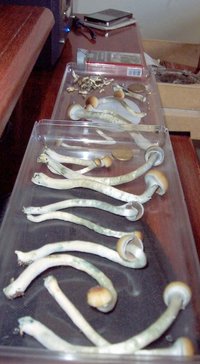 100_2144.jpg