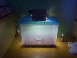 000_0417.JPG