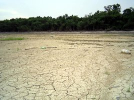 Imagem 0419.jpg