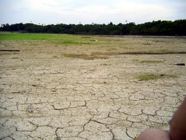 Imagem 0420.jpg