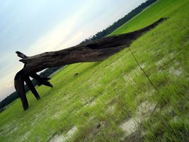 Imagem 0422.jpg
