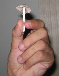 meus_filhos (9).jpg
