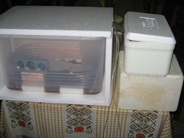 terrario3.jpg