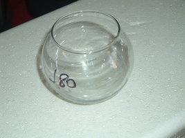DSCF1064.JPG