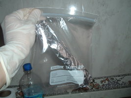 DSCF1071.JPG