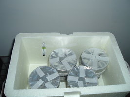DSCF1118.JPG