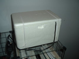 DSCF1124.JPG