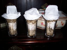 100_0130.jpg