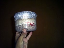 Imagem 0439.jpg