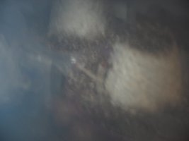 Nasceu (8).jpg