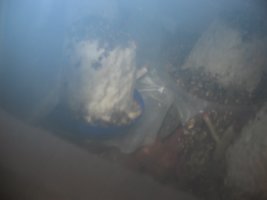 Nasceu (10).jpg