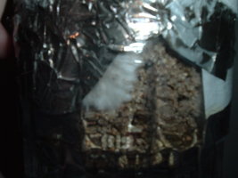 DSCF1157.JPG