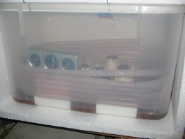 Berçario (3).jpg