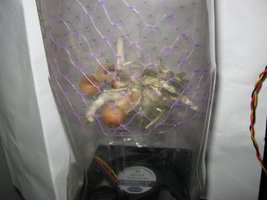 Cultivo (14).jpg